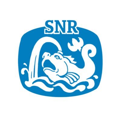 The Society for Nautical Research